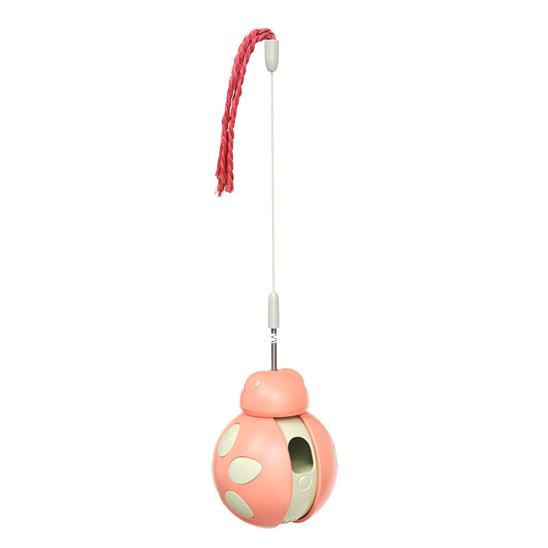 Cat Food Puzzle Toy