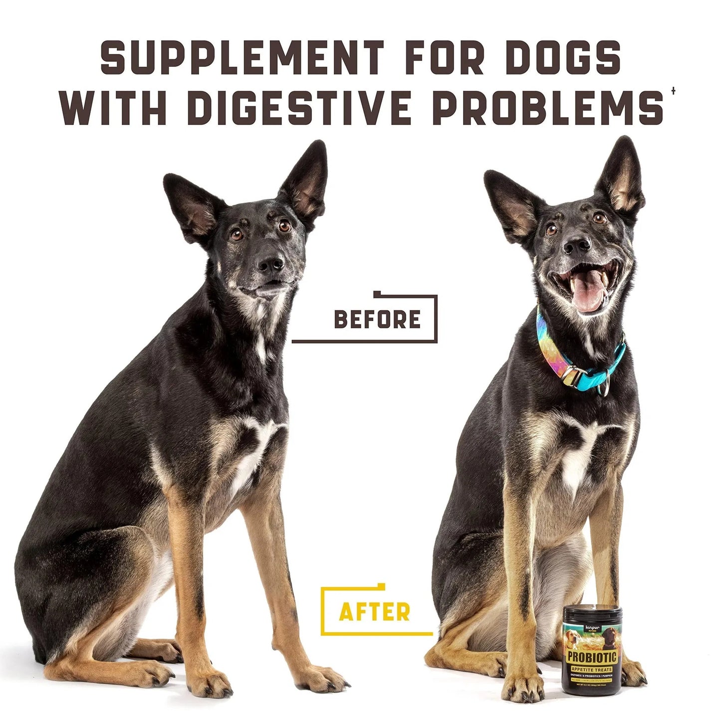 Dog Probiotics Chews 180ct