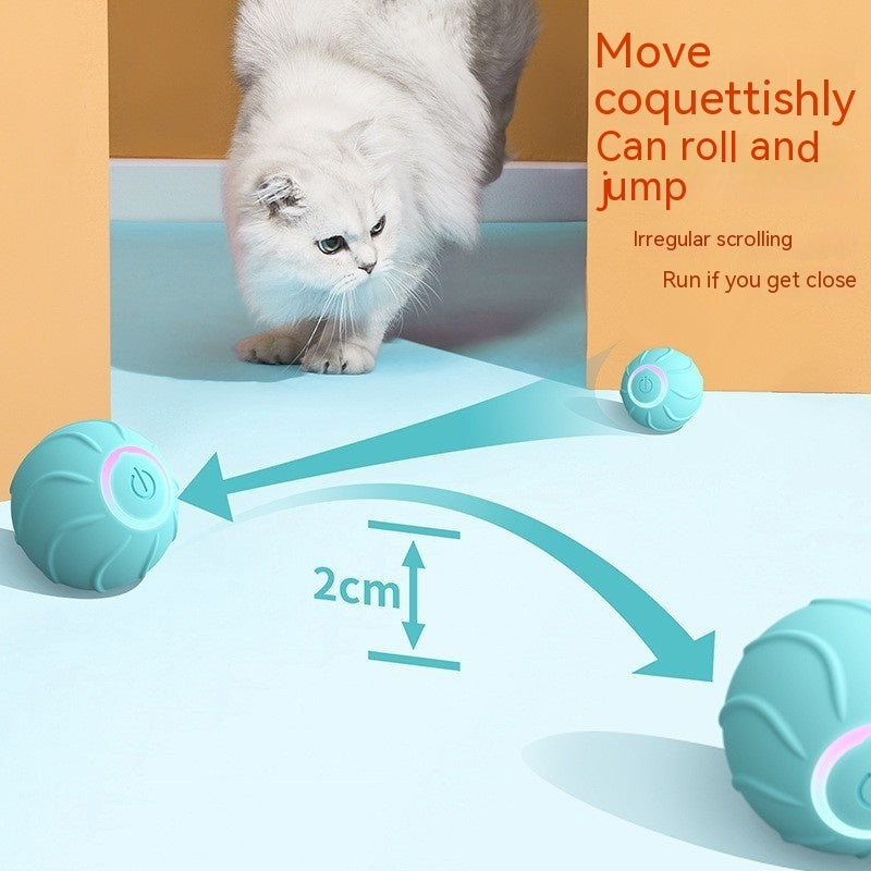 Smart Cat Bouncing Ball