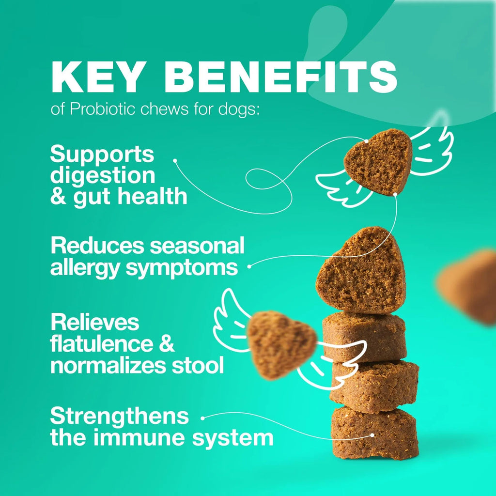 Probiotics & Enzymes for Dogs