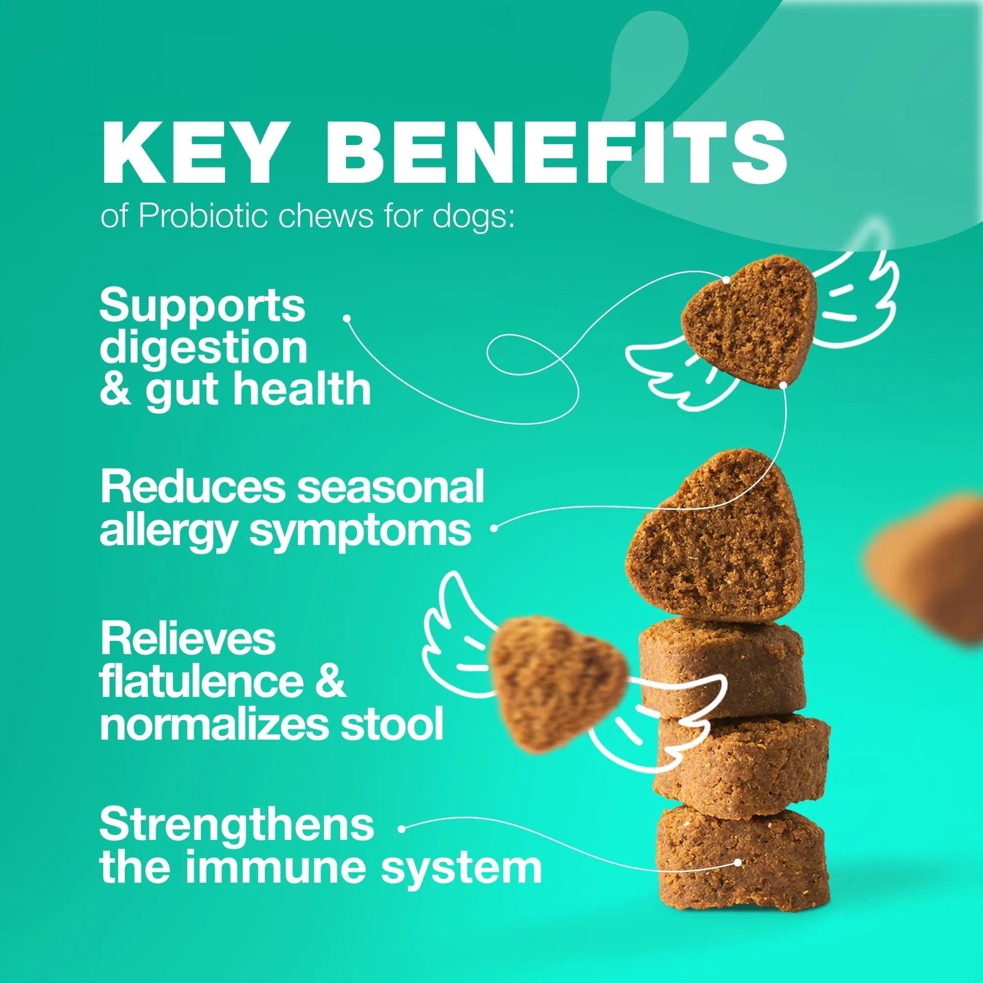 Probiotics & Enzymes for Dogs