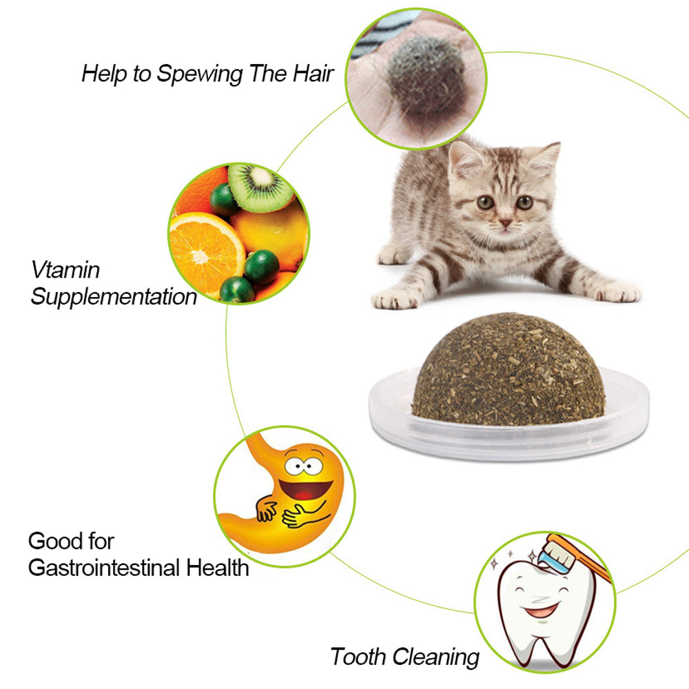 Catnip Ball Toy for Cats