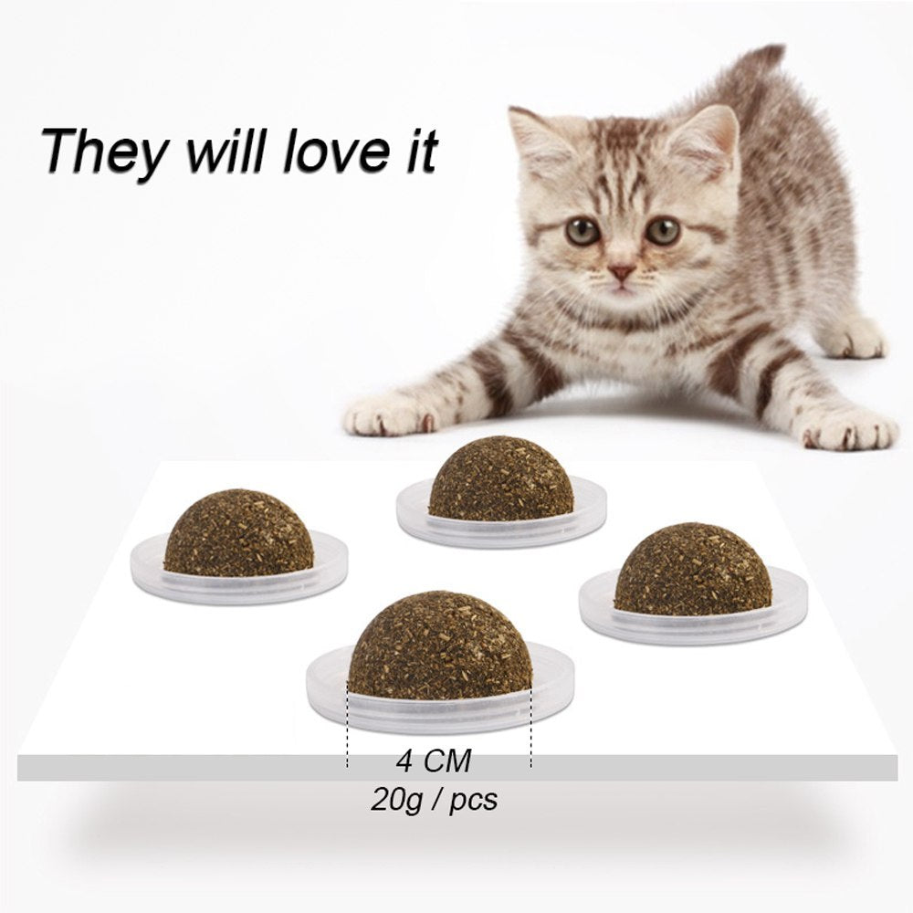 Catnip Ball Toy for Cats