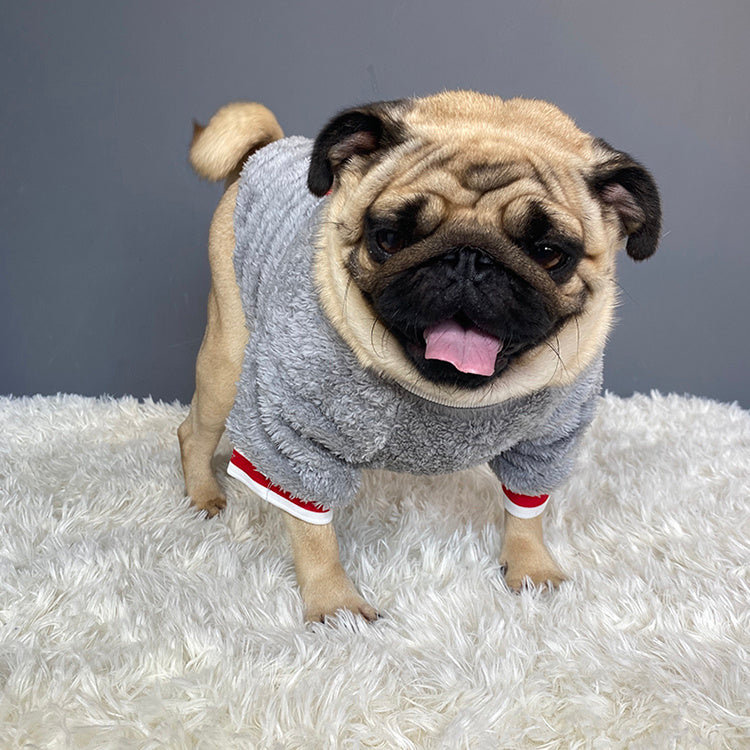 Pet's Sweater for Dogs and Cats Grey 