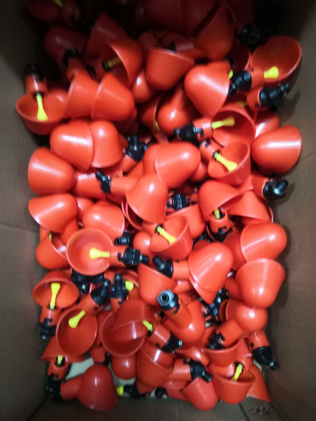 Automatic Poultry Water Bowl