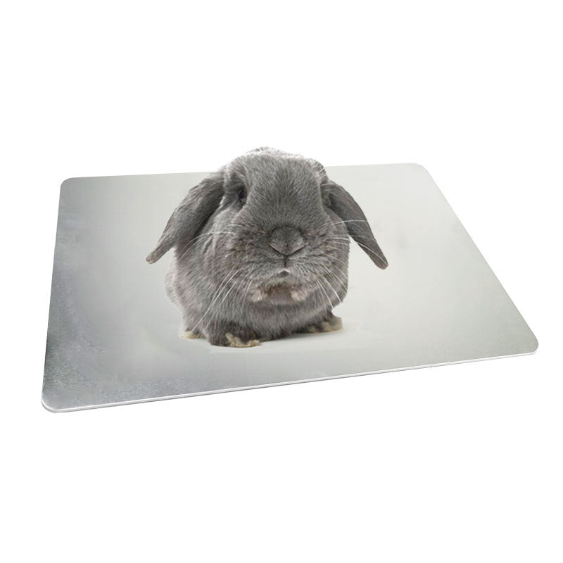 Pet Cooling Plate Aluminum Plate Rabbit Cooling Plate Guinea