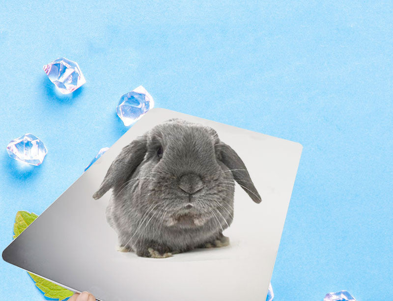 Pet Cooling Plate Aluminum Plate Rabbit Cooling Plate Guinea