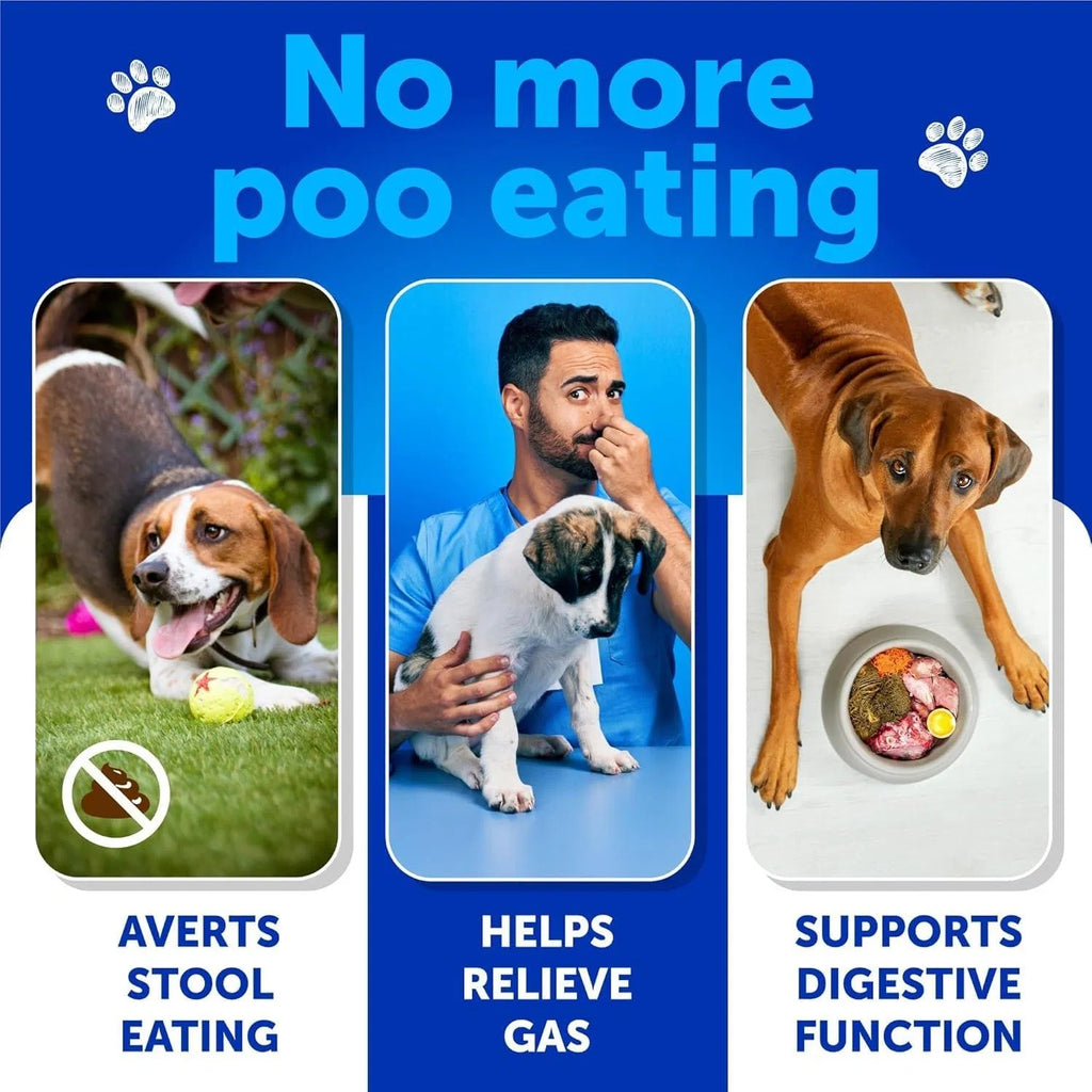 No Poo Chews for Dogs