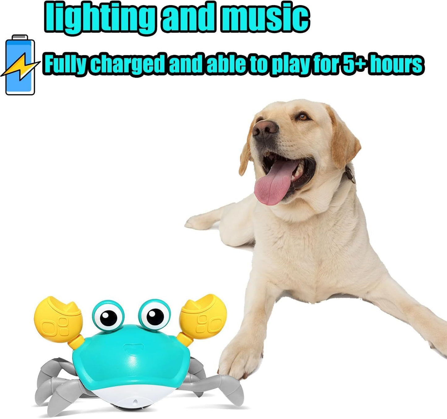 Interactive Crawling Crab Toy