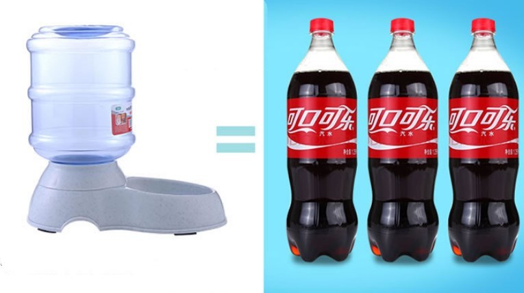 Auto Pet Feeder & Water