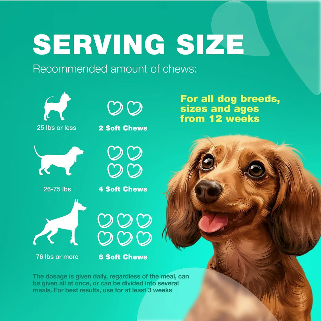 Probiotics & Enzymes for Dogs
