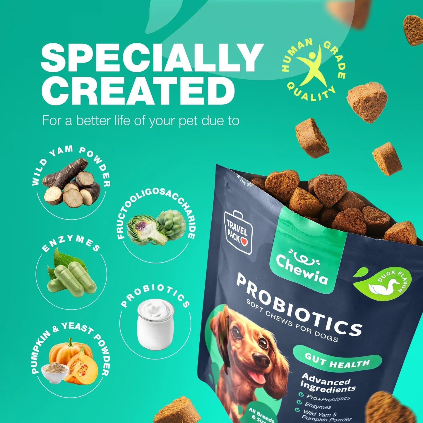 Probiotics & Enzymes for Dogs