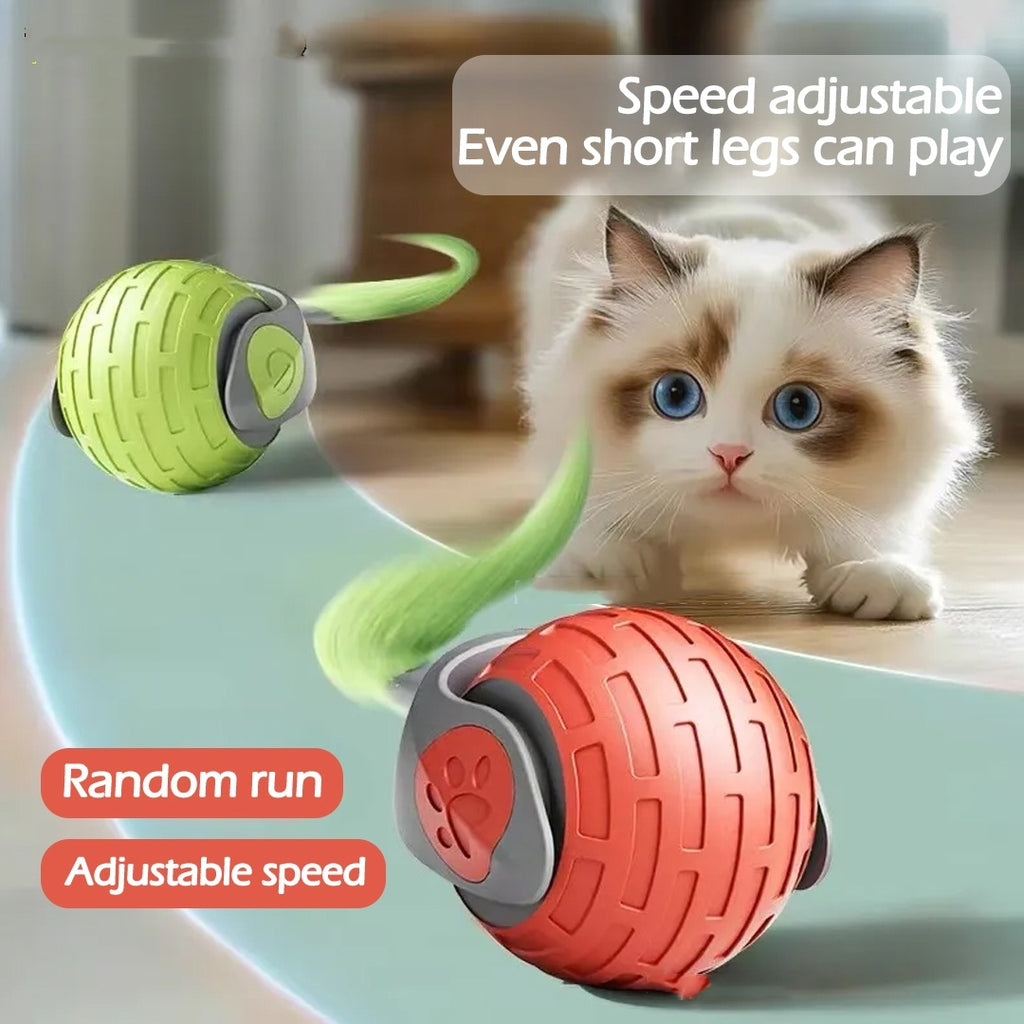 Auto Rolling Cat Toy Ball