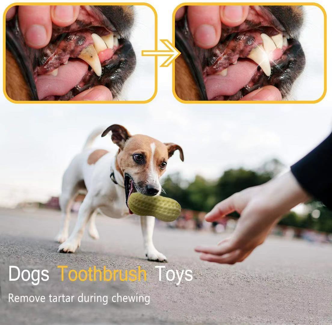 Rubber Squeaky Dog Toy