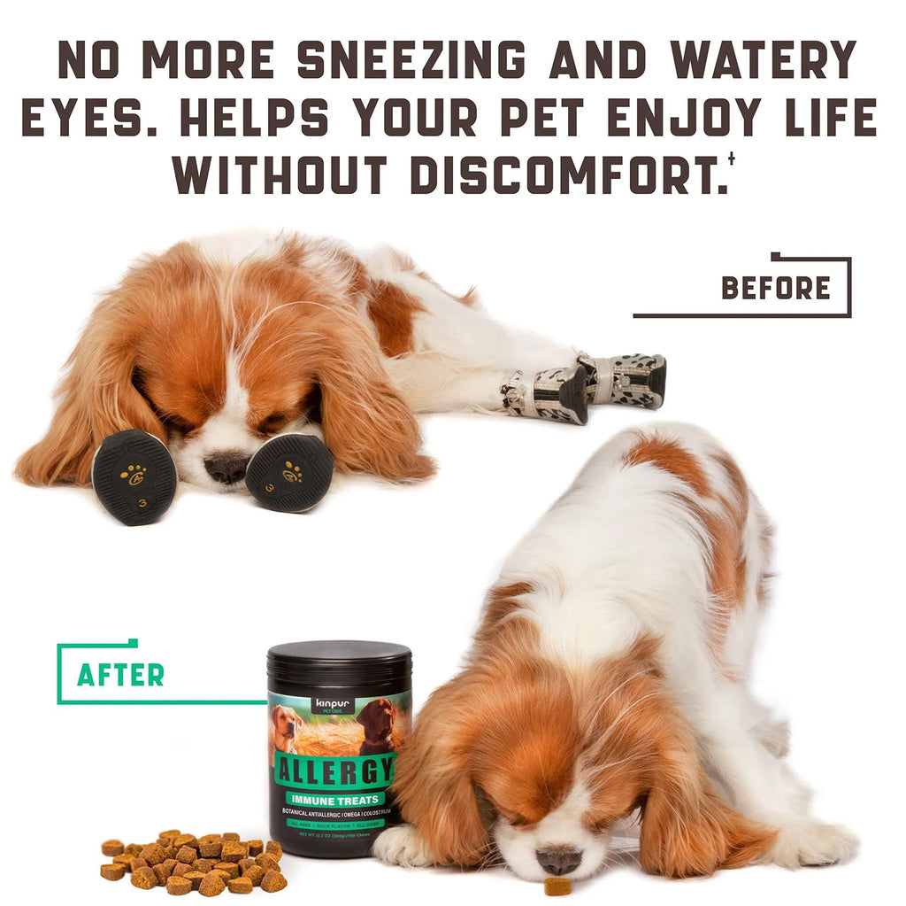 Dog Allergy Relief Chews