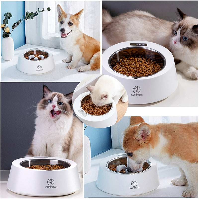 Smart Pet Slow Feeder Bowl