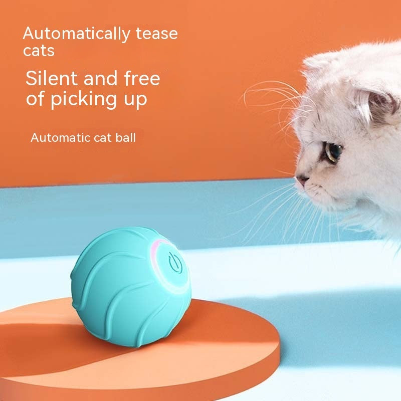 Smart Cat Bouncing Ball