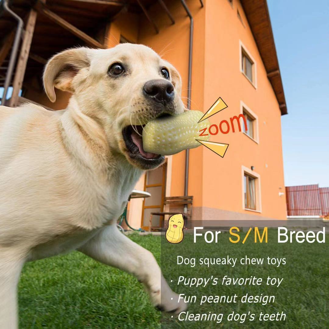 Rubber Squeaky Dog Toy