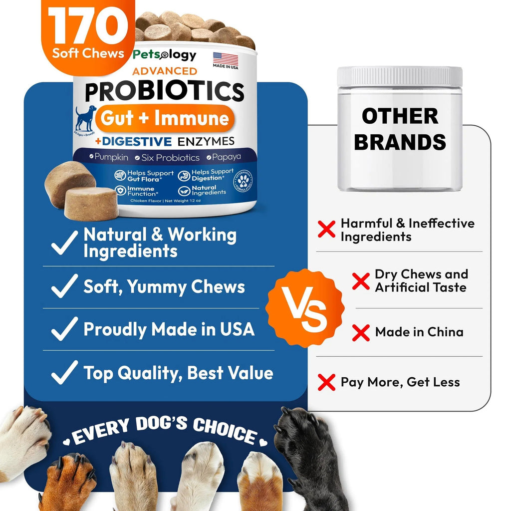 Probiotics Chews for Dogs
