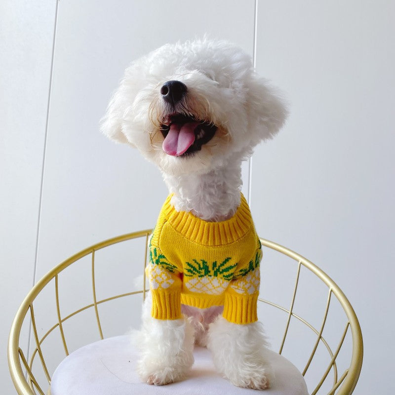 Cute Pineapple Print Jarre Aero Bull Autumn And Winter Christmas Pet Clothes
