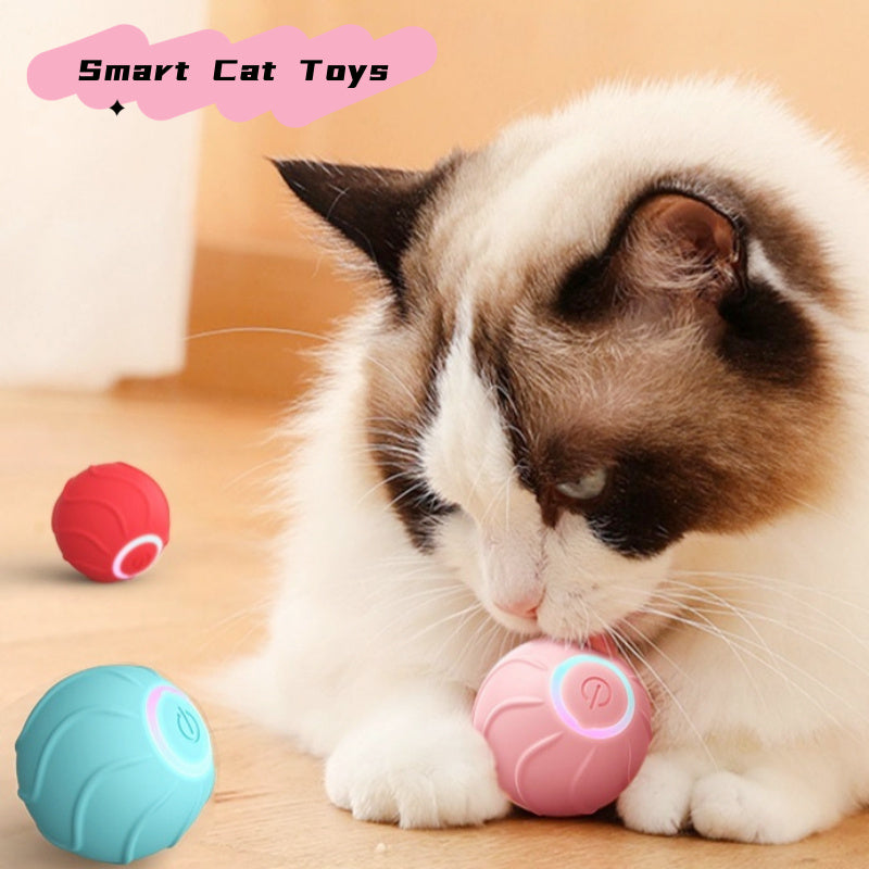 Smart Cat Bouncing Ball