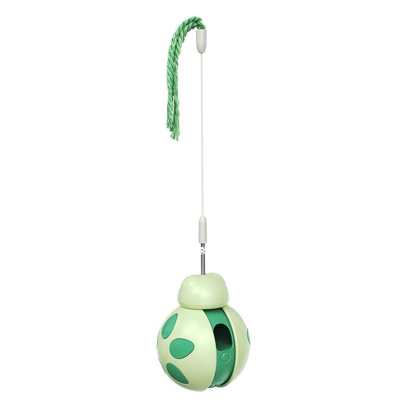 Cat Food Puzzle Toy