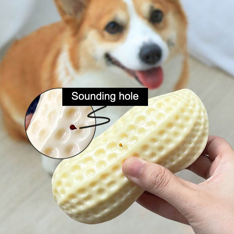 Rubber Squeaky Dog Toy