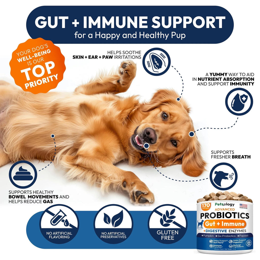 Probiotics Chews for Dogs