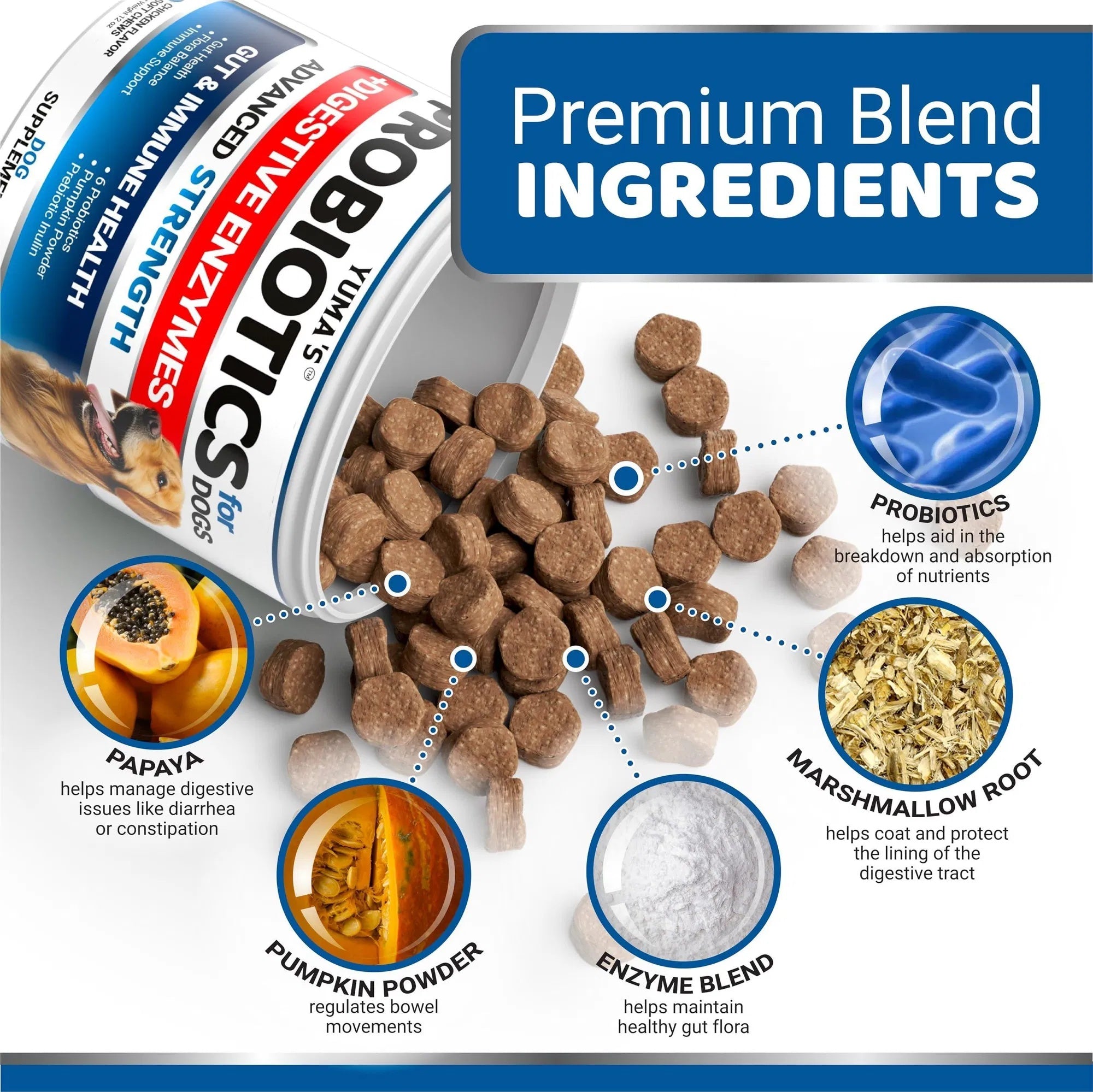 Dog Probiotics Digestive Chews