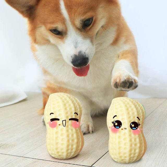 Rubber Squeaky Dog Toy