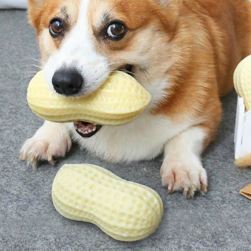 Rubber Squeaky Dog Toy