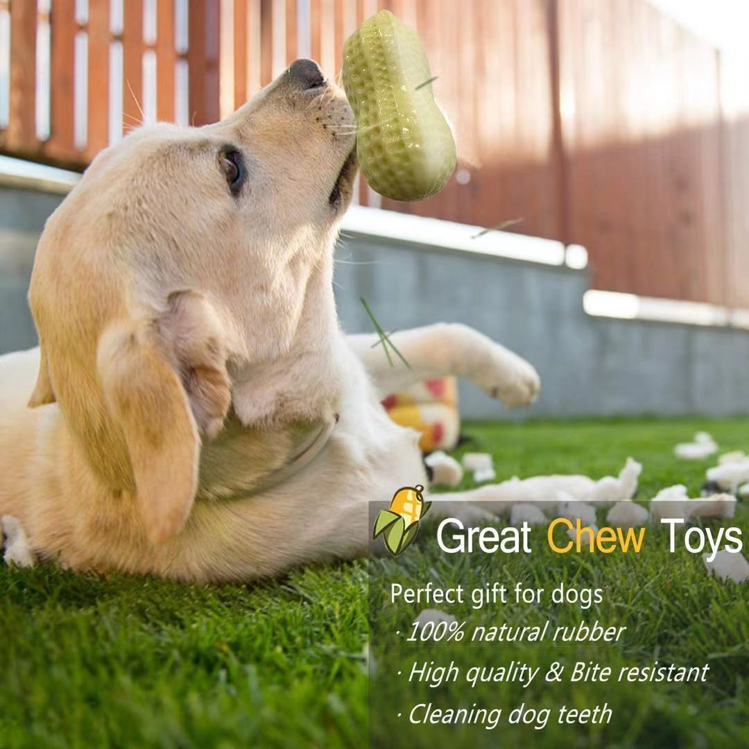 Rubber Squeaky Dog Toy