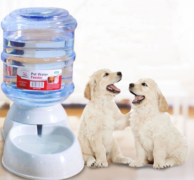 Auto Pet Feeder & Water