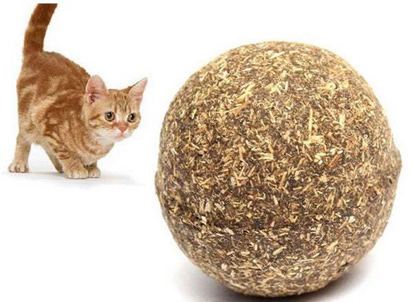 Catnip Ball Toy for Cats