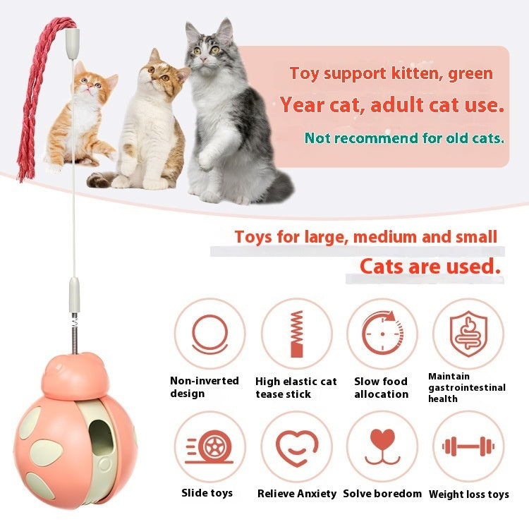 Cat Food Puzzle Toy