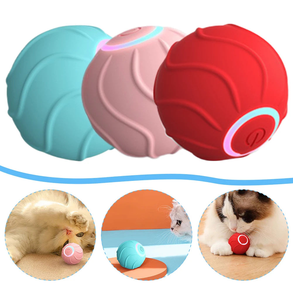 Smart Cat Bouncing Ball