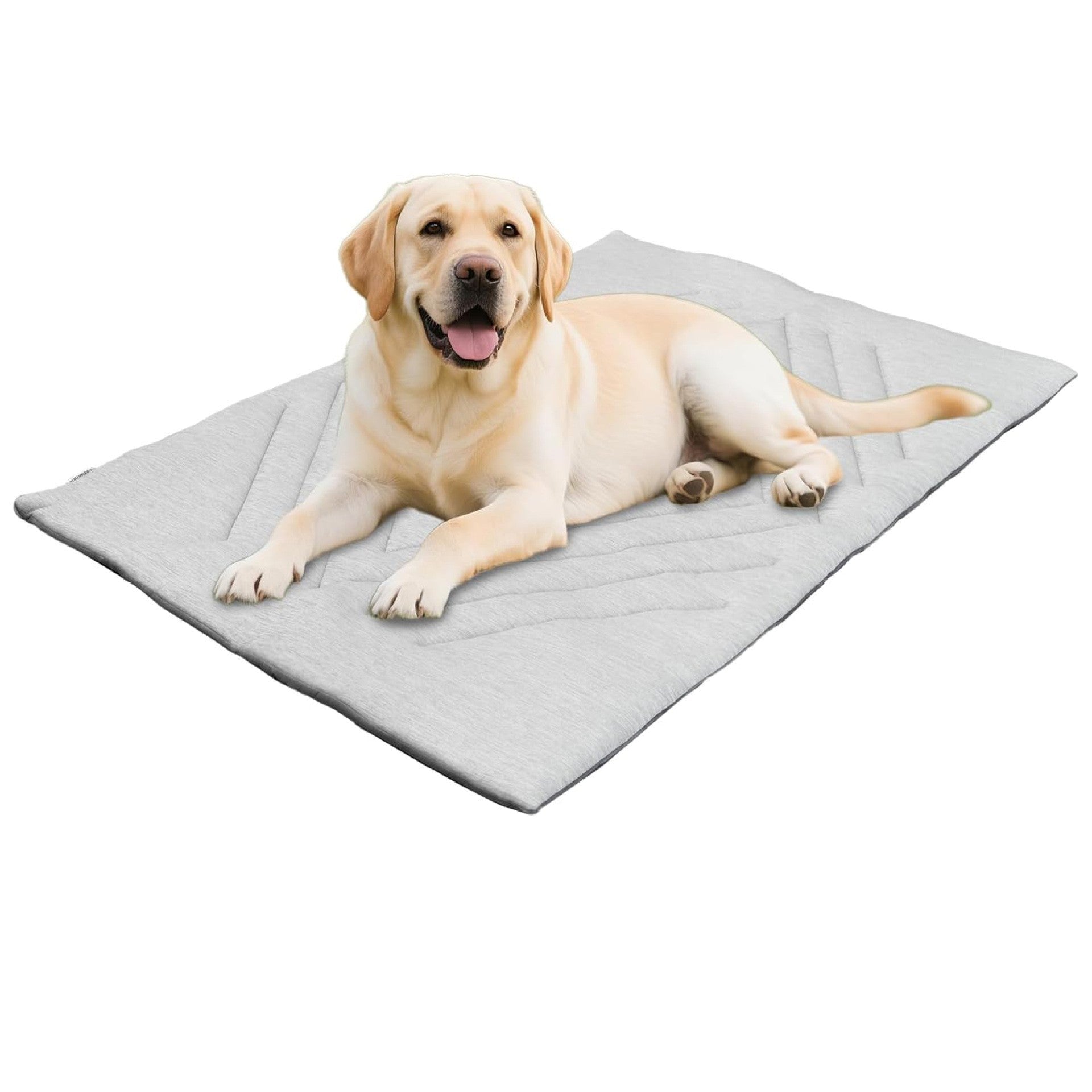 Portable Pet Cooling Mat