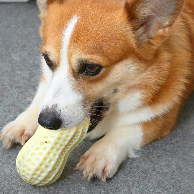 Rubber Squeaky Dog Toy