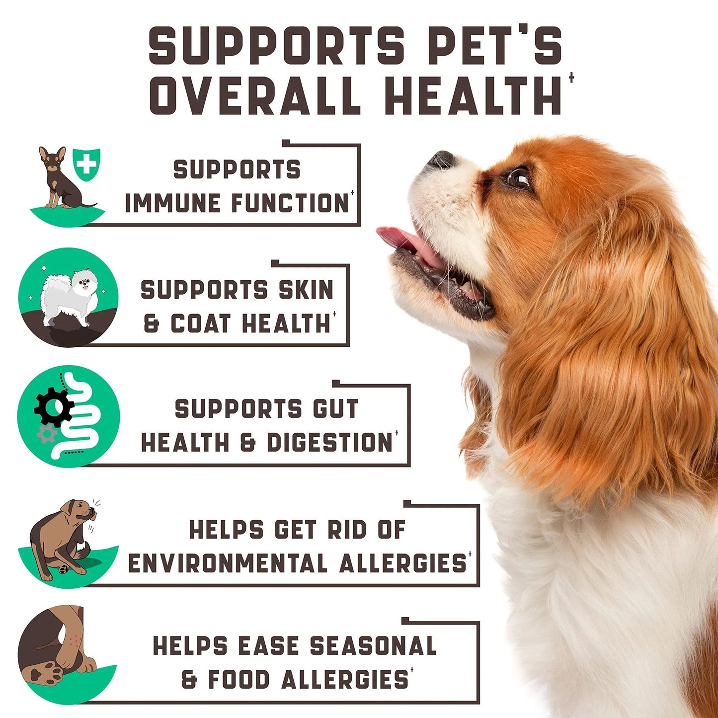 Dog Allergy Relief Chews