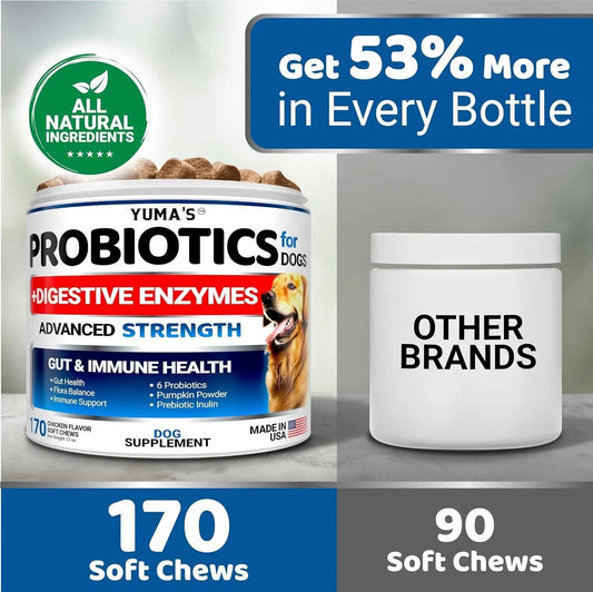 2 Pack Probiotics