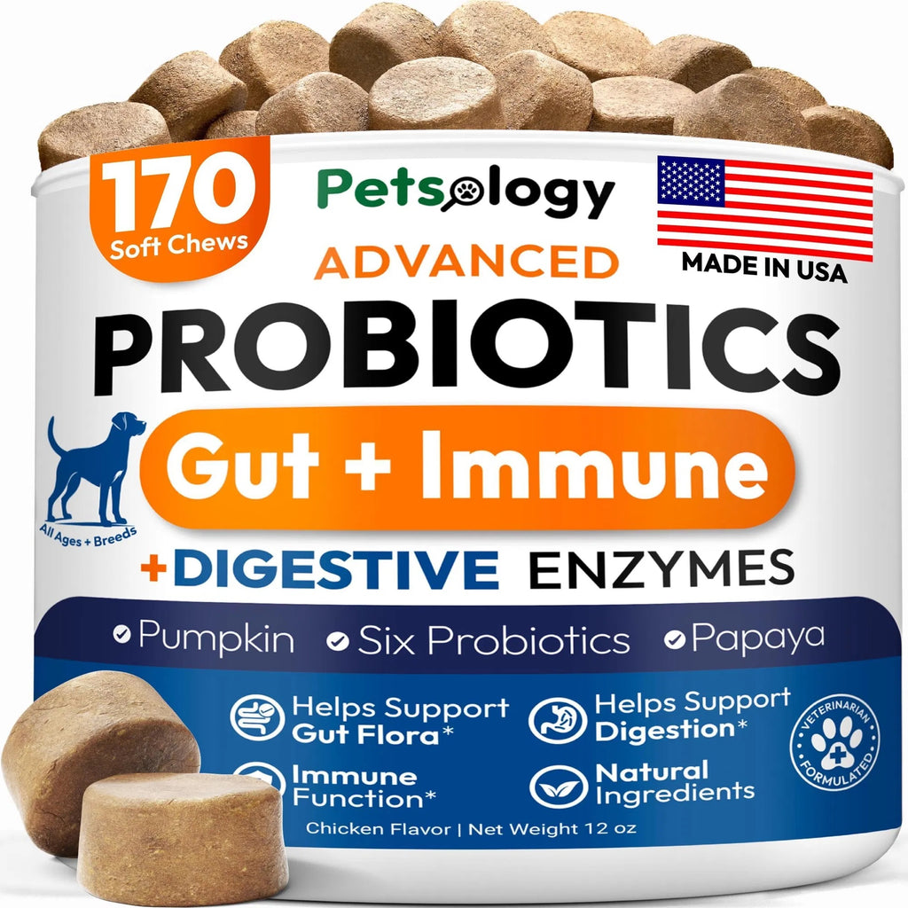Probiotics Chews for Dogs