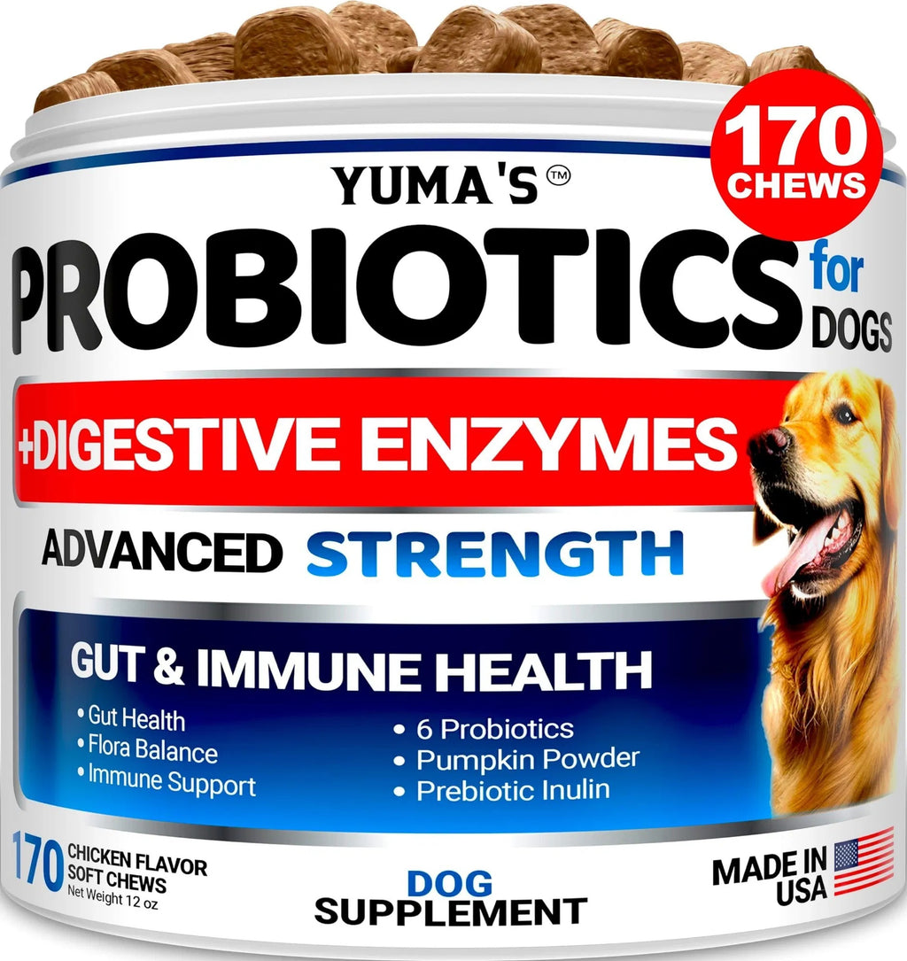 Dog Probiotics Digestive Chews