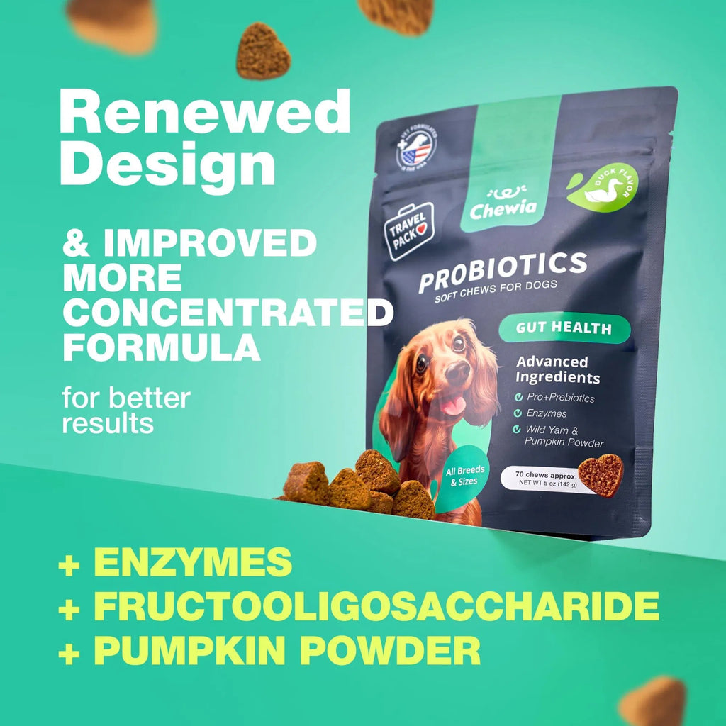 Probiotics & Enzymes for Dogs
