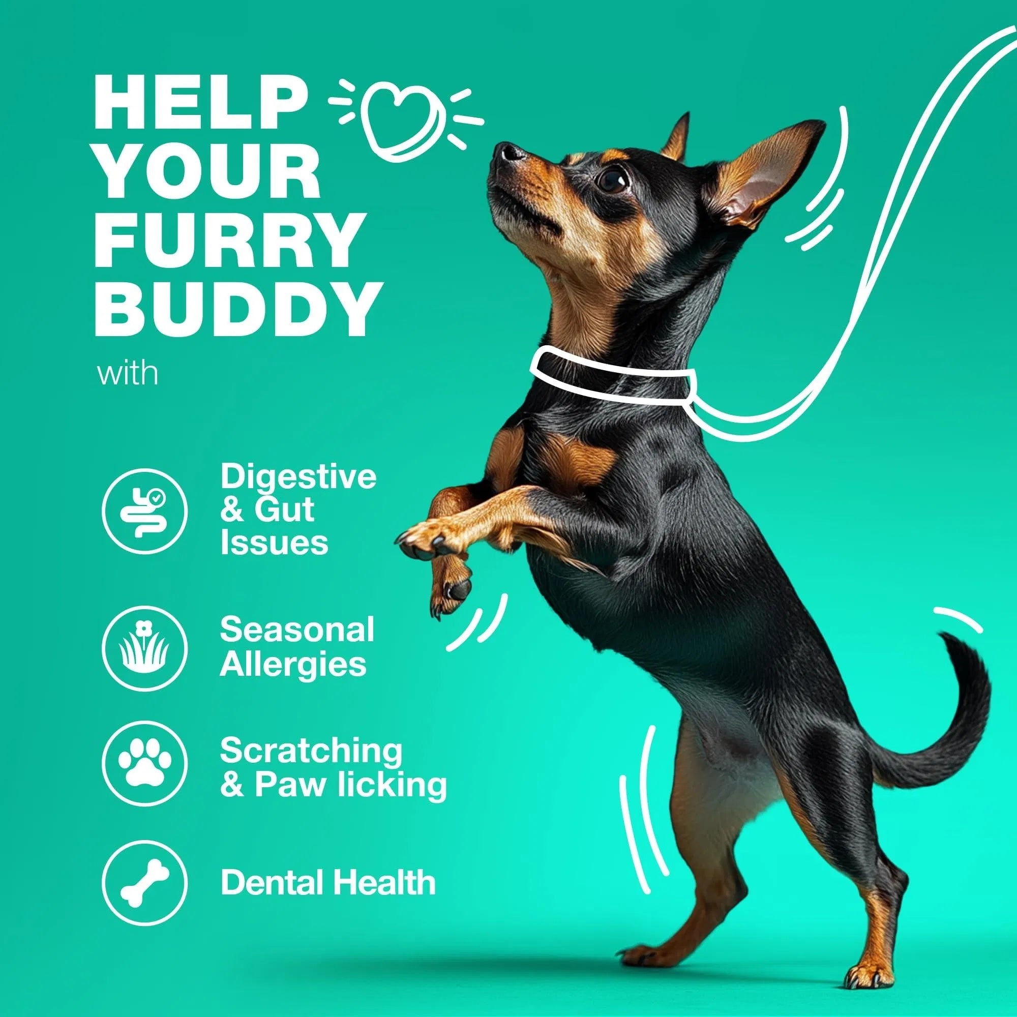 Probiotics & Enzymes for Dogs