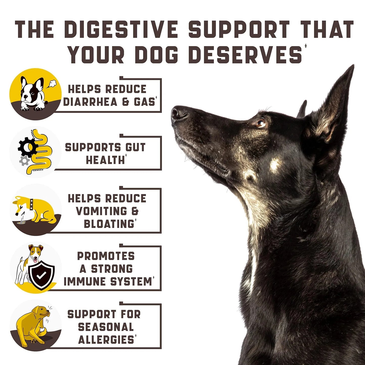 Dog Probiotics Chews 180ct