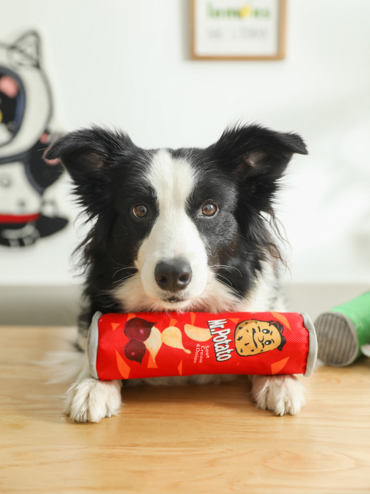 Bite-Resistant Plush Toy