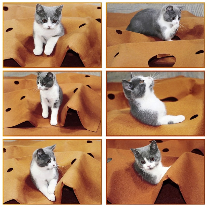 Cat Activity Play Mat