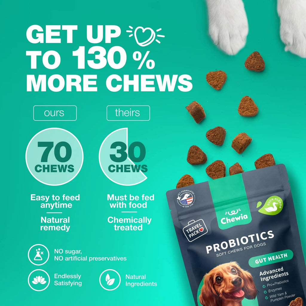 Probiotics & Enzymes for Dogs