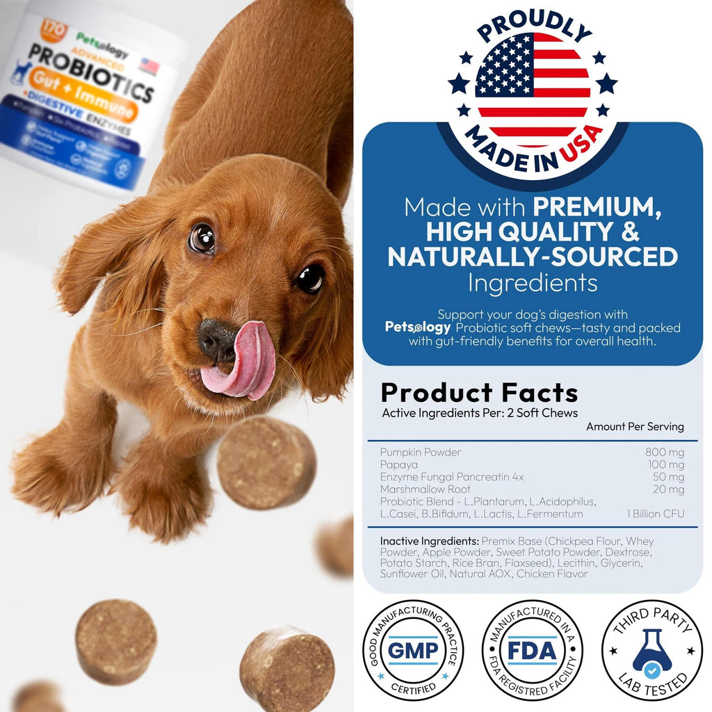 Probiotics Chews for Dogs